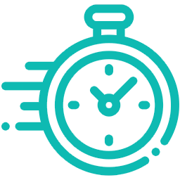 Fast Delivery IT Projects